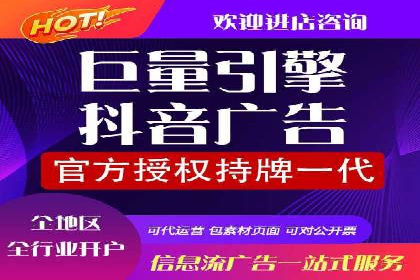 行业领先企业的SEM运营策略案例解析